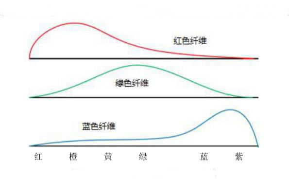 三類色彩纖維對光譜的吸收曲線